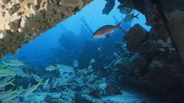 Epaves de récifs E01 L'île Bonaire