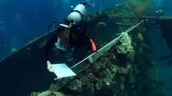 Epaves, l'or des grands fonds