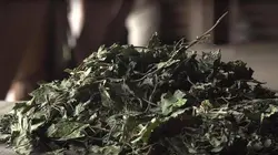 Epicerie fine, terroirs gourmands Le Ribéracois