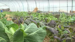 Epicerie fine, terroirs gourmands Le pays de Bray