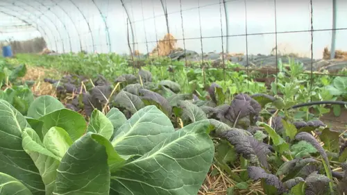 Epicerie fine, terroirs gourmands Le pays de Bray