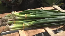 Epicerie fine L'Espinouse