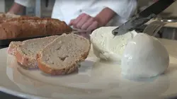 Epicerie fine, terroirs gourmands Le Pays cathare