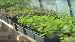 Epicerie fine, terroirs gourmands La Sologne bourbonnaise