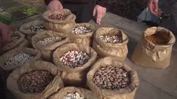 Epicerie fine, terroirs gourmands La Côte d'Opale