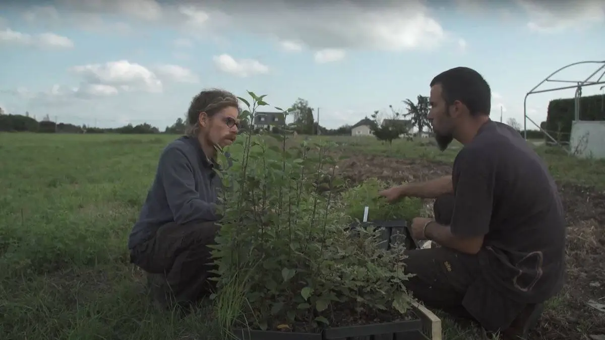 Epicerie fine, terroirs gourmands Le val d'Anjou