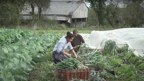 Epicerie fine, terroirs gourmands Le pays de Redon