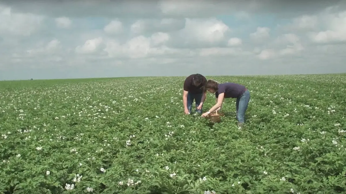 Epicerie fine, terroirs gourmands Le Grand Pithiverais