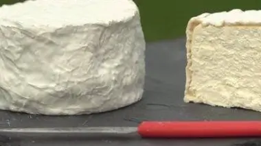 Escargot et chaource de la côte des Bar