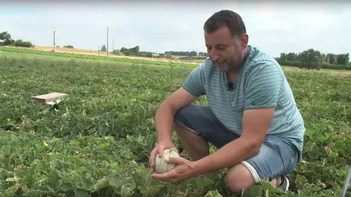 Epicerie fine, terroirs gourmands Le Castrais