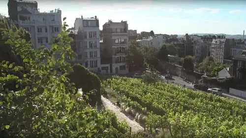 Epicerie fine, terroirs gourmands Paris