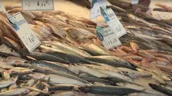 Epicerie fine, terroirs gourmands