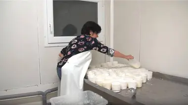 Le coeur du Var et la Dracénie