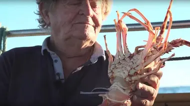 Le pays de Porto-Vecchio