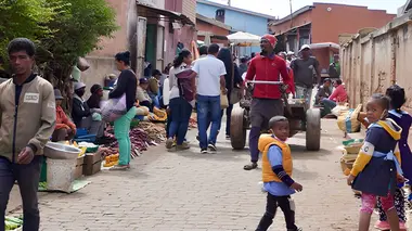 Prévenir la prochaine pandémie