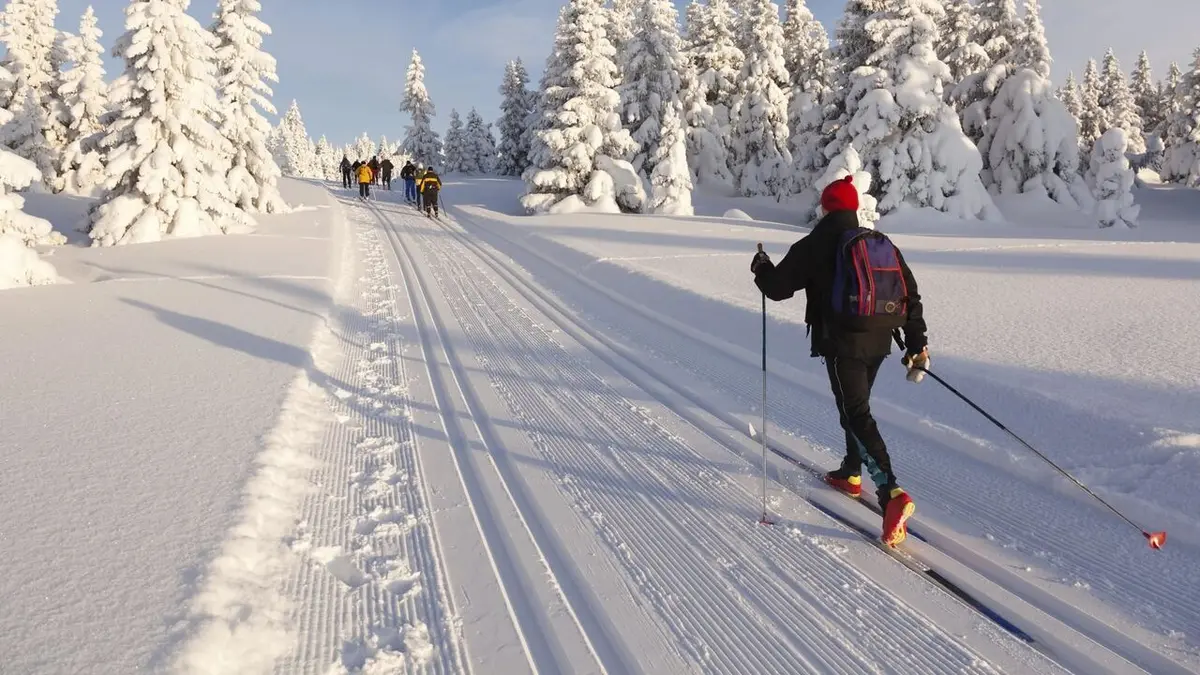 Epreuve d'Oslo Ski de fond Coupe du monde féminine de ski de fond 2024-2025