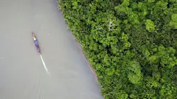 Equateur, le campus de la forêt