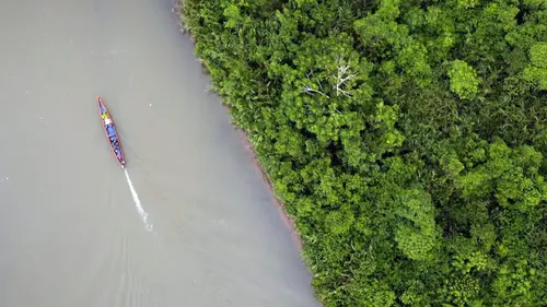 Equateur, le campus de la forêt