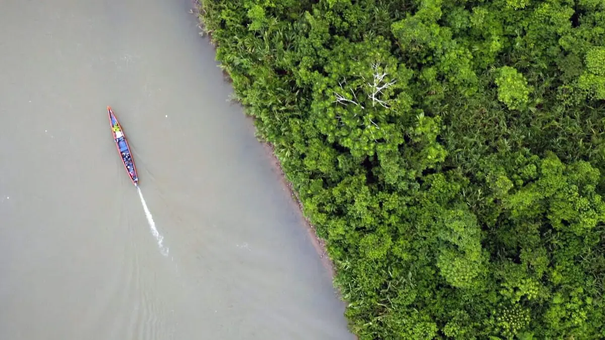 Visuel de Equateur, un campus au coeur de la forêt