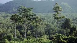 Equator's Wild Secrets Bornéo et Sumatra