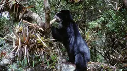 Equator's Wild Secrets Les joyaux des Andes