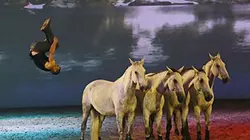 Visuel de Equestria 2014