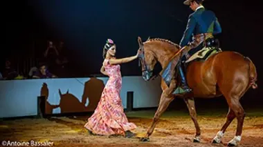 Equestria :  La nuit des créations 2015