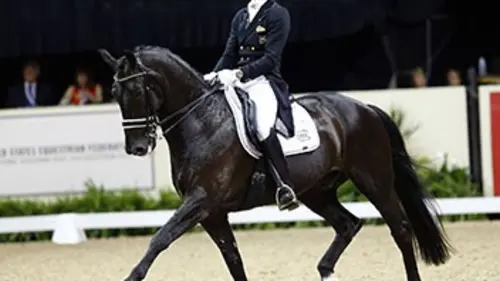 1re manche Equitation Coupe du monde de dressage 2015/2016