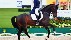 Sur Eurosport 1 à 22h05 : Equitation World Dressage Masters 2015