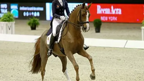 4e manche Equitation Coupe du monde de dressage 2015/2016