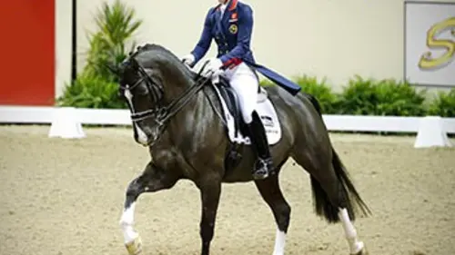 6e manche Equitation Coupe du monde de dressage 2015/2016