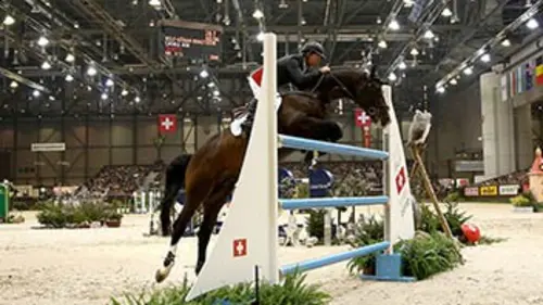 9e manche Equitation Coupe du monde de saut d'obstacles 2015/2016