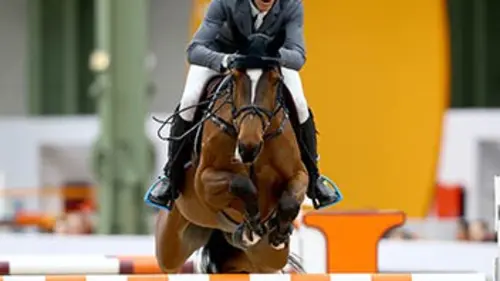 CSI 5 étoiles Equitation Masters de Bruxelles 2016
