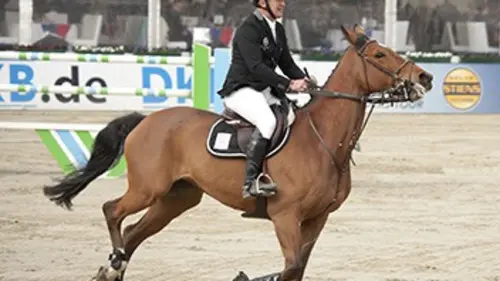 Zone Afrique Equitation Coupe des nations 2016