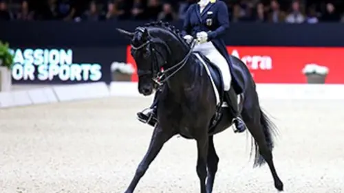 5e manche Equitation Coupe du monde de dressage 2016/2017