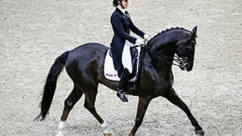 9e manche Equitation Coupe du monde de dressage 2016/2017