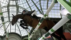 Visuel de Equitation Saut Hermès 2017