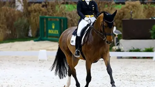 Finale Equitation Coupe du monde de dressage 2016/2017