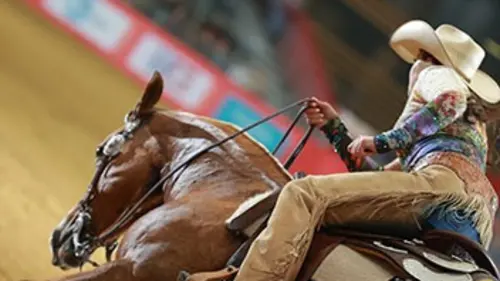 Reining. NHRA Open Equitation Equita Lyon 2017