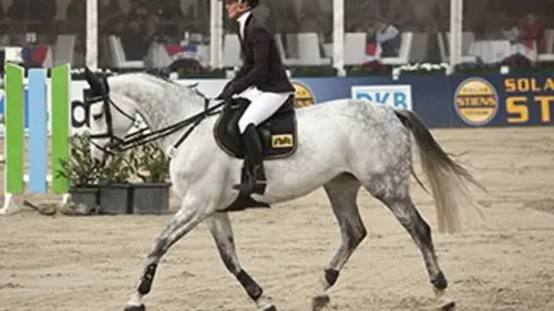 Pro Elite Equitation Masters de Paris 2017