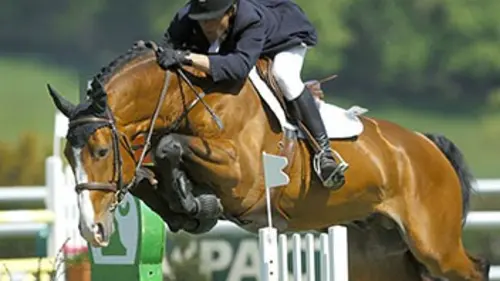 3e jour Equitation Championnats d'Europe 2017