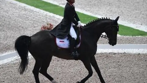 11e manche Equitation Coupe du monde de dressage 2018/2019