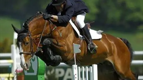 6e manche Equitation Coupe des nations de concours complet 2019