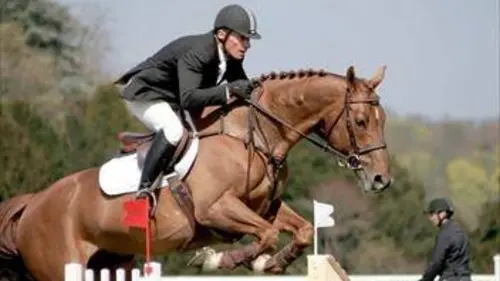 10e manche Equitation Coupe du monde de dressage 2019/2020