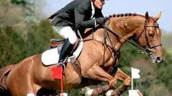Visuel de Grand Prix