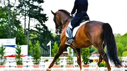 Sur Eurosport 1 à 20h05 : Dressage. Reprise libre en musique