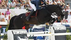 Visuel de Saut d'obstacles. Epreuve de vitesse