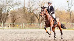 Equitation Alfursan Endurance Alula