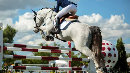 Equitation : Championnats du monde de concours complet