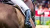 Equitation : Championnats du monde